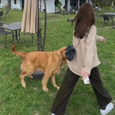 鬼咁够运粤语