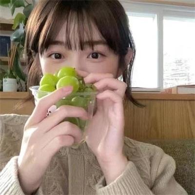 极地熊踪